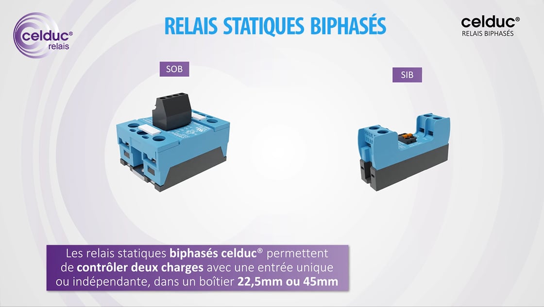 miniature-SSR-Biphasés-FR